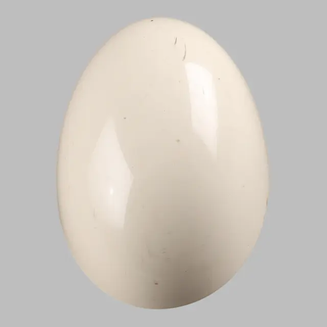 globalparts3-1403142