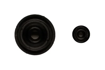 spring-loaded-912988