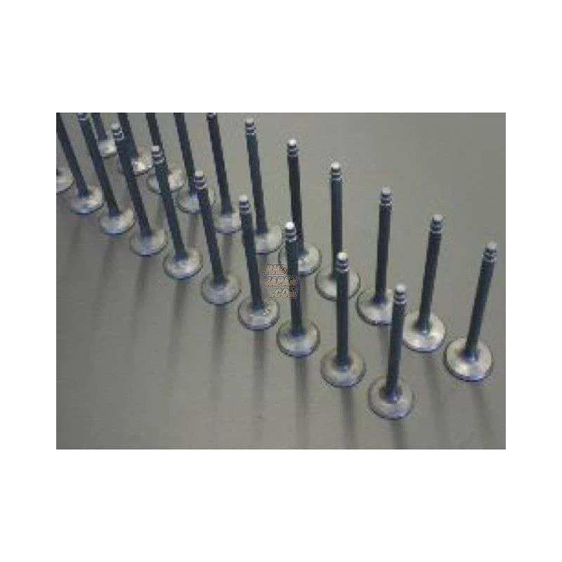 torqen4-1008165